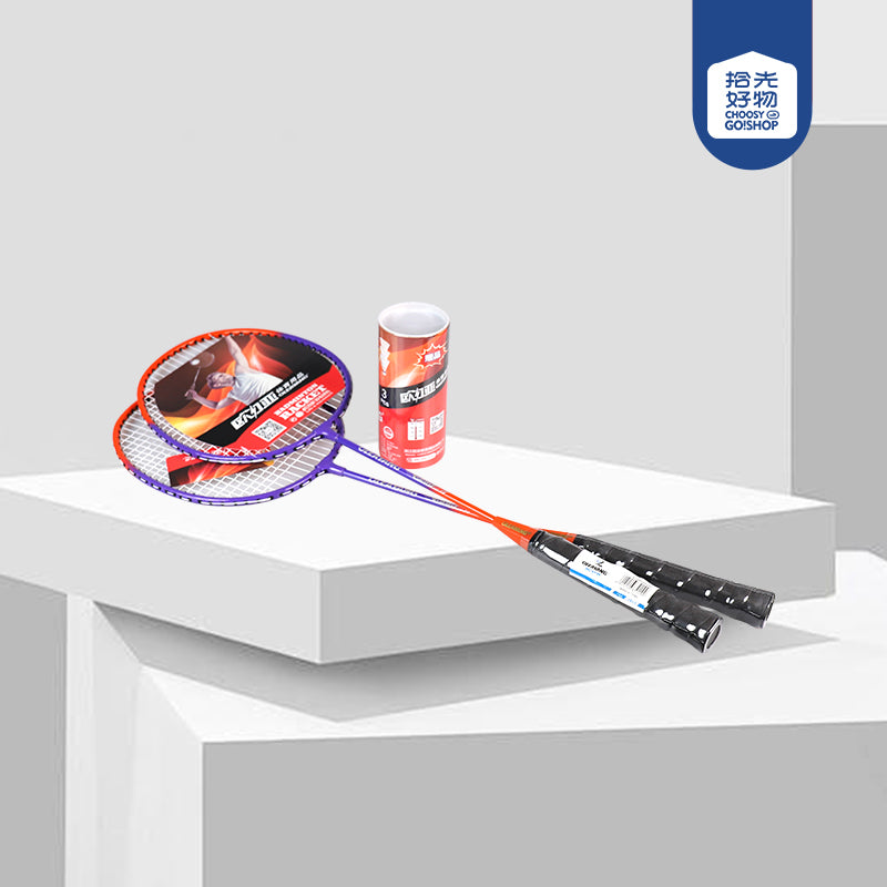 Raqueta de bádminton OLEAYANG LY - 5129, precio asequible, para principiantes, entrenamiento diario, M.92 JPDB