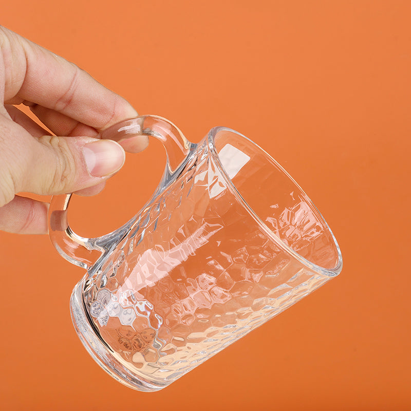 DeliModel TZ2829A Glass Handle Cup (300ML Beer Cup) M.17