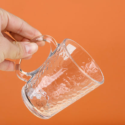 DeliModel TZ2829A Glass Handle Cup (300ML Beer Cup) M.17