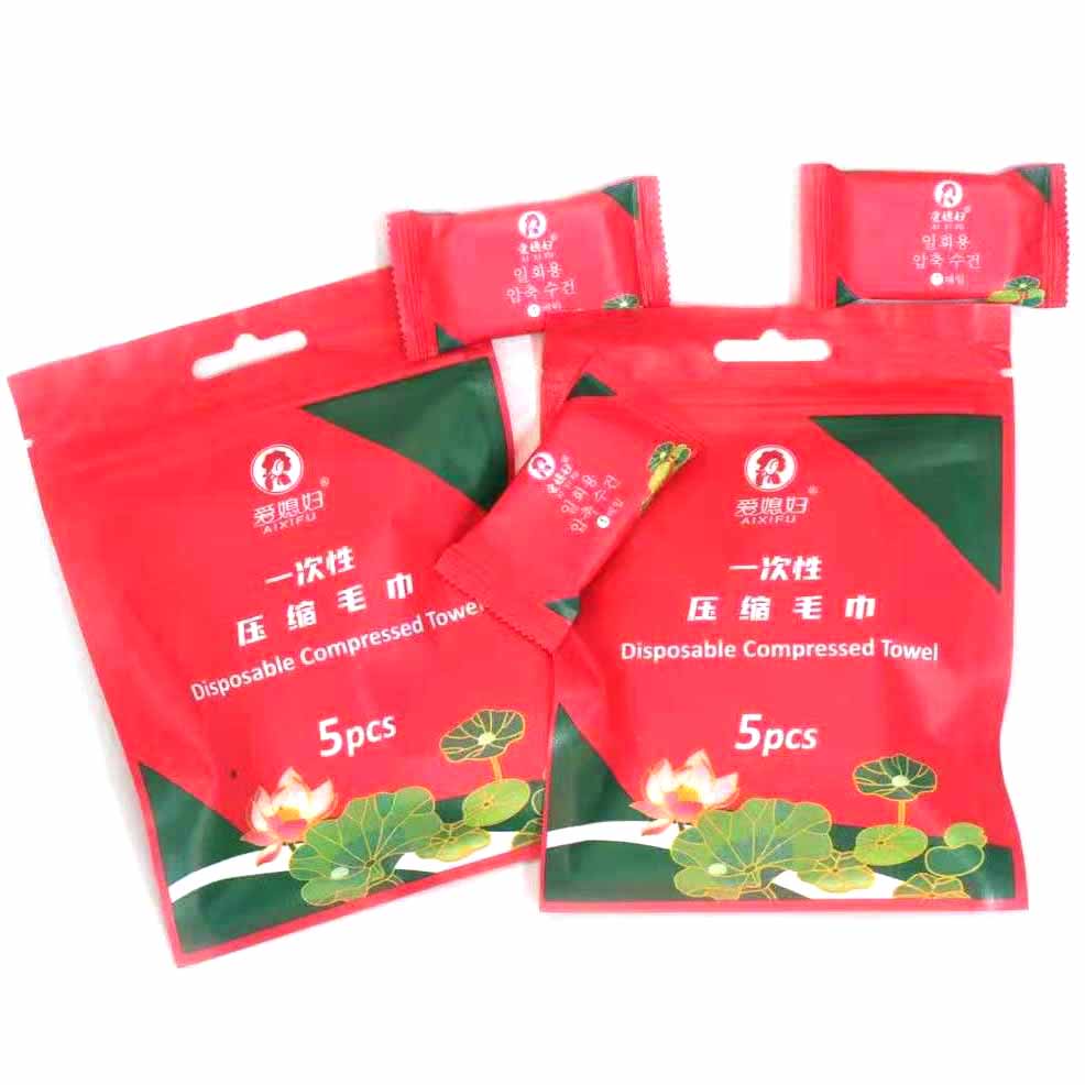 Five disposable compressed towels in a bag M.27