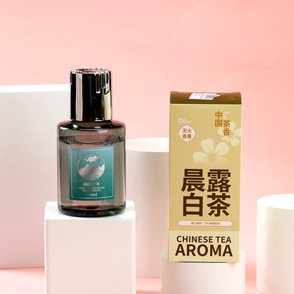 Fireless Aromatherapy Cold Brew Series (Random Scents) 160g M.54 M.12