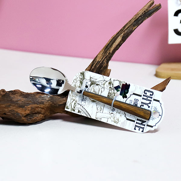 TF - 2105 304 Stainless Steel Medium Comfort Pointed Tip Spoon M.66 JPDB