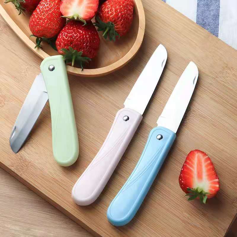 Pastel - colored Folding Fruit Knife M.62